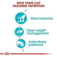 ROYAL CANIN Urinary Care in Gravy 12x85g - thumbnail