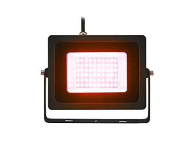 Eurolite IP-FL30 SMD 51914950 LED-buitenschijnwerper 30 W Rood - thumbnail