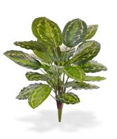 Calathea Roseopicta kunstplant 65 cm boeket - thumbnail