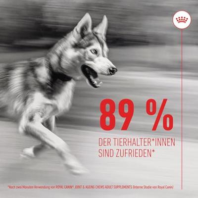 Royal Canin Joint & Ageing Chews voedingssupplement hond 5 x 240 g