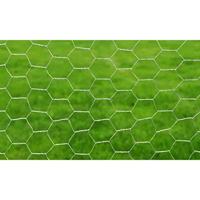 Kippengaas 25x0,75 m gegalvaniseerd staal zilverkleurig - thumbnail