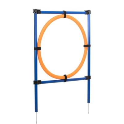 TRIXIE Fun-Agility Hoepel set, blauw-geel