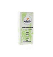 Volatile Salie lavandulifolia 10 Milliliter - thumbnail