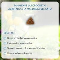 Nutrivet Inne Cat Adult vis kattenvoer 2 x 6 kg - thumbnail