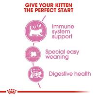 Royal Canin mother & babycat katten en kitten voer 2kg zak - thumbnail