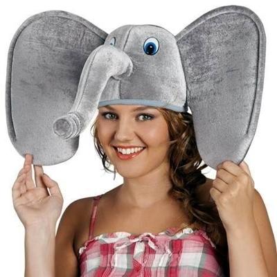 Boland Hoed olifant