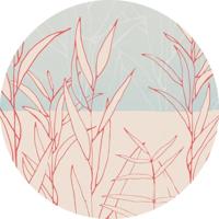 Noordwand Komar Dots Behangcirkel Grassland - D1-078 - thumbnail