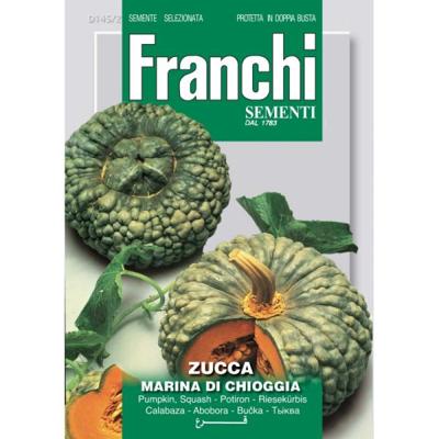 Pompoen Zucca marina di Chioggia 145/2 zaden Franchi - Franchi
