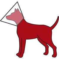 TRIXIE BESCHERMKRAAG MET KLITTENBAND KUNSTSTOF TRANSPARANT 36-43X18 CM - thumbnail