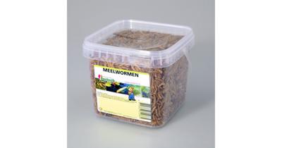 Meelwormen 1,2 liter voer Suren Collection - Suren collection