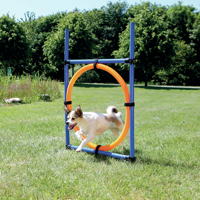 TRIXIE DOG ACTIVITY AGILITY RING BLAUW / ORANJE 65X3X115 CM - thumbnail