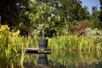 Elho Greenville Pot Living Black (Ø 55 cm) - thumbnail