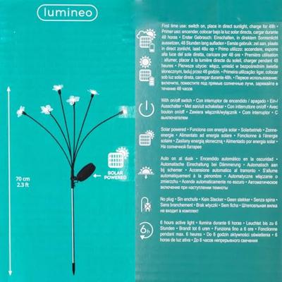 Solar Tuinsteker Bloem 6 LED 70cm WW