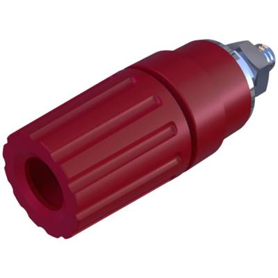 Hirschmann Test & Measurement PKI 110 Poolklem Rood 35 A 1 stuk(s)
