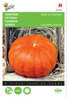 Zaden Pompoen Rode van Etampes Buzzy - Buzzy - thumbnail