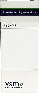 Anacardium orientale LM12 Anacardium orientale LM12