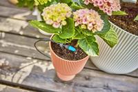 Verstelbare Einddruppelaar 0-15 l/u Gardena - Gardena - thumbnail