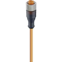 Lumberg Automation 11363-1 Sensor/actuator connector, geassembleerd M12 Aantal polen (sensoren): 3 Bus, recht 2.00 m 1 stuk(s) - thumbnail