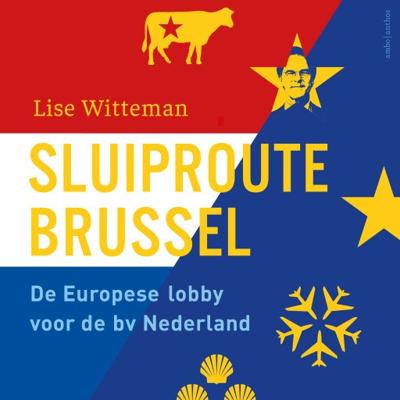 Sluiproute Brussel