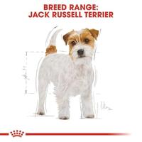 Royal Canin Adult Jack Russell Terriër hondenvoer 3 kg - thumbnail