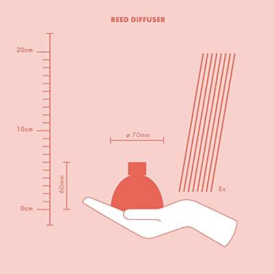 Geurdiffuser 45ml ts oud wood - thumbnail