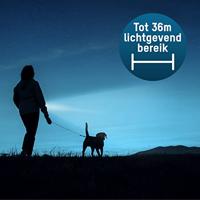 Ansmann Daily Use 50B Zaklamp werkt op batterijen LED 56 lm 16.5 h 41 g - thumbnail
