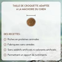 Nutrivet Inne Dog Senior hondenvoer 2 x 12 kg - thumbnail