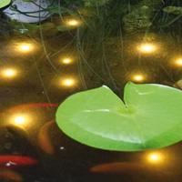 Welkin Pond Light - thumbnail