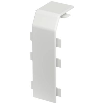 OBO Bettermann RD Kup40105 rws voor Afdekking Zuiver wit 1 stuk(s)