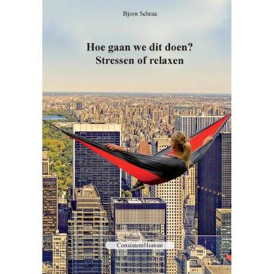 Hoe gaan we dit doen? - Bjorn Schraa - Paperback (9789492703002) Hoe gaan we dit doen? - Bjorn Schraa - Paperback (9789492703002)