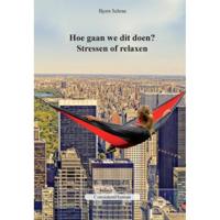 Hoe gaan we dit doen? - Bjorn Schraa - Paperback (9789492703002) - thumbnail