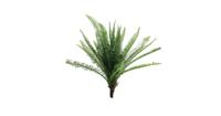UV Fern Torres Sunrise 60cm - thumbnail