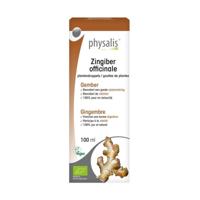 Physalis Zingiber officinale bio 100 Milliliter - thumbnail