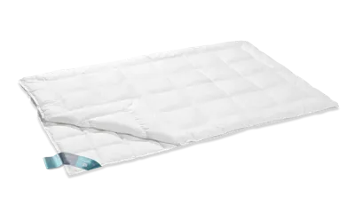 VanDyck Thermo Dekbed Duo