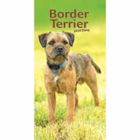 Border Terrier Slim Agenda 2026 - thumbnail