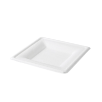 Bord 16x16cm suikerriet BIO - thumbnail