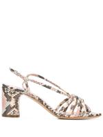 Casadei Safari strappy sandals - NEUTRALS - thumbnail