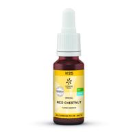 Bachbloesem Bio N°25 Red Chestnut 20ml - thumbnail