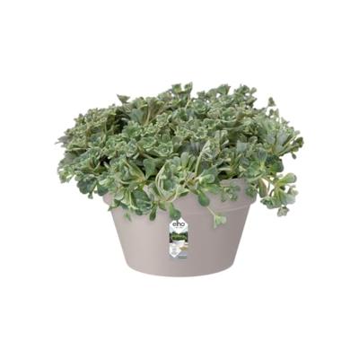 Elho loft urban bowl bloempot 35 warm grijs