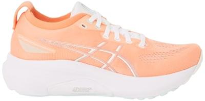 ASICS GEL-Kayano 31 Heren