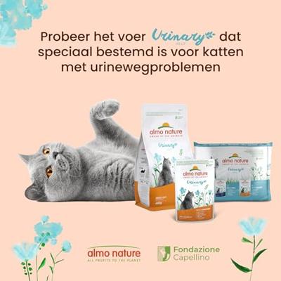 Almo Nature Urinary Help met kip natvoer kat (70 g) 60 x 70 g - thumbnail
