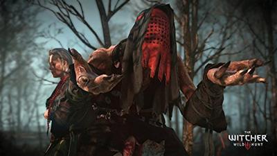 PS4 The Witcher 3: Wild Hunt - Game of the Year Edition
