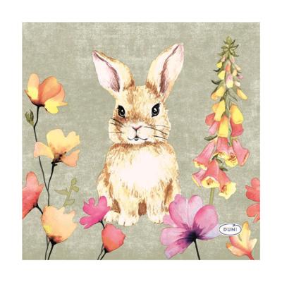 Duni servetten floral friends 24cm
