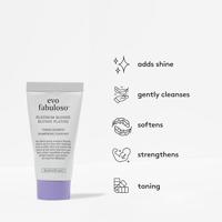 EVO Fabuloso Platinum Toning Shampoo 30ml - thumbnail