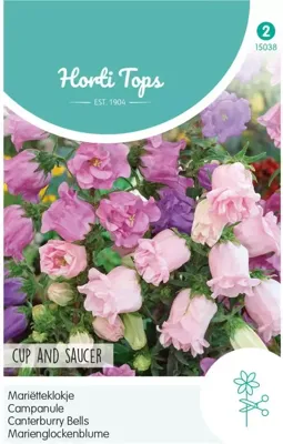 Campanula Medium Calycanthema Gemengd - Hortitops