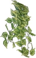 Plant hanging hedera 65 cm Repto - Repto - thumbnail