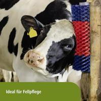 Halfronde koeborstel veeborstel blauwrood xl - thumbnail