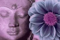 Schilderij - Gezicht van Boeddha en Bloem, Roze, Premium Print, Prachtige Wanddecoratie - thumbnail