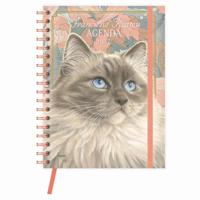 Franciens Katten Bureau Agenda 2027 Blue - thumbnail