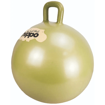 Find That Hippo skippybal goud